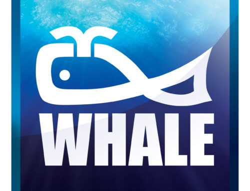 Kaiser AG acquires Whale Tankers Ltd. and strengthens global market leadership